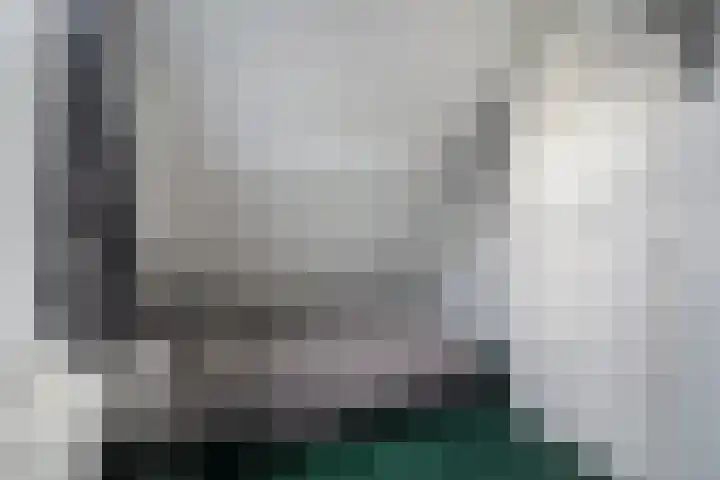 Snavel van Emekamp 39 Zwolle thumbnail 38