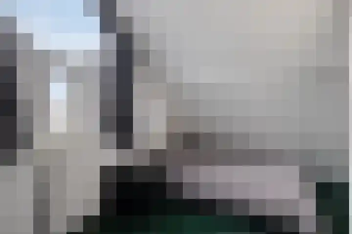 Snavel van Emekamp 39 Zwolle thumbnail 39