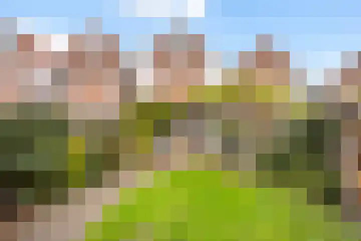 Snavel van Emekamp 39 Zwolle thumbnail 4
