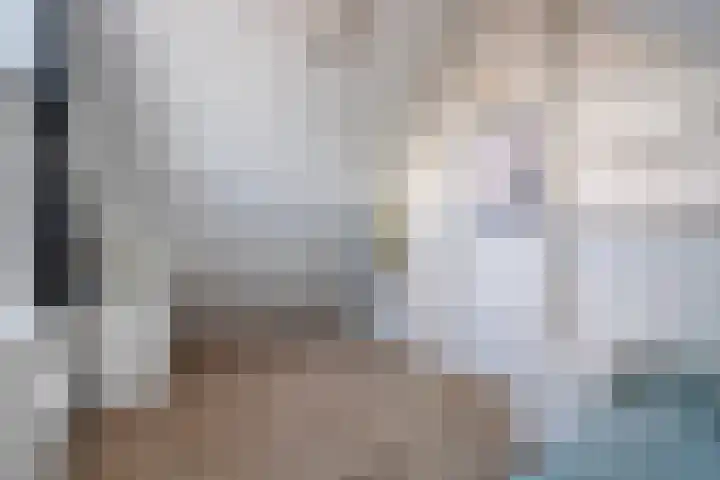 Snavel van Emekamp 39 Zwolle thumbnail 42