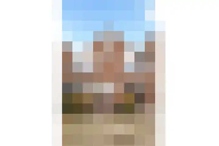 Snavel van Emekamp 39 Zwolle thumbnail 43