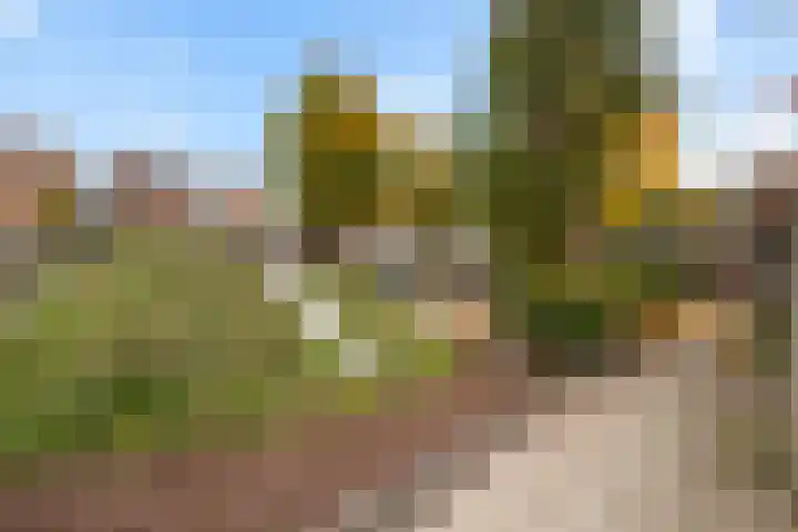 Snavel van Emekamp 39 Zwolle thumbnail 44