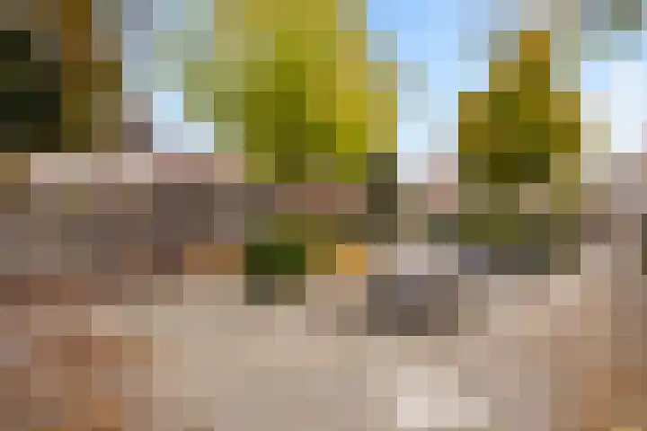 Snavel van Emekamp 39 Zwolle thumbnail 46
