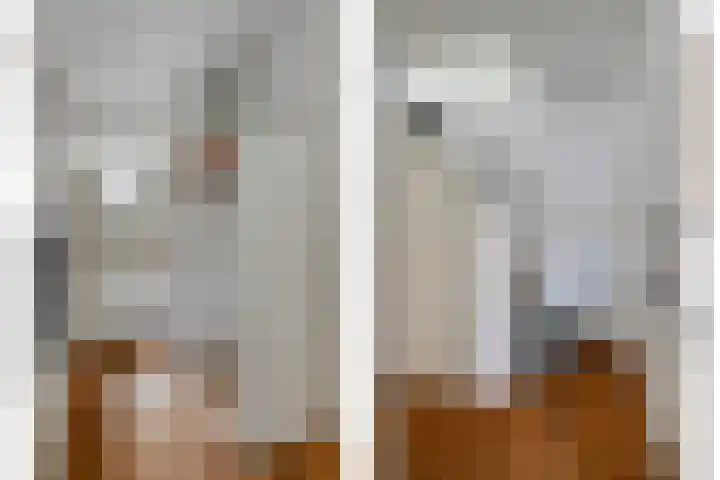 Snavel van Emekamp 39 Zwolle thumbnail 5