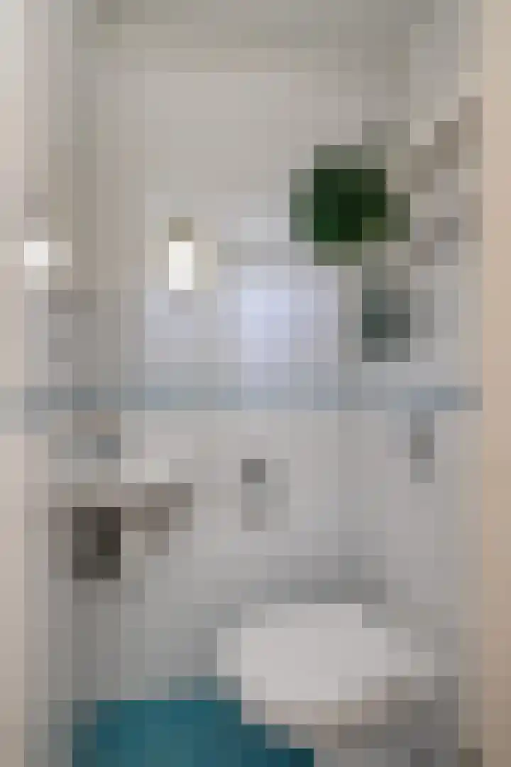 Snavel van Emekamp 39 Zwolle thumbnail 6