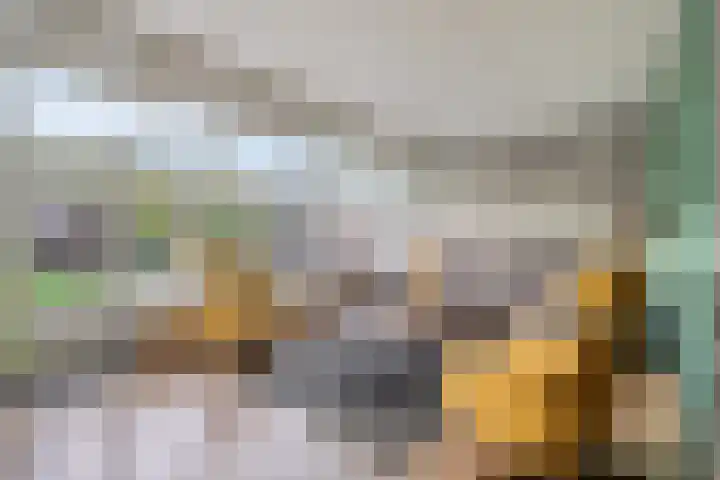 Snavel van Emekamp 39 Zwolle thumbnail 7