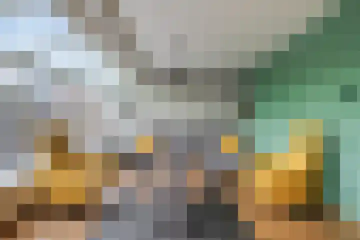 Snavel van Emekamp 39 Zwolle thumbnail 8