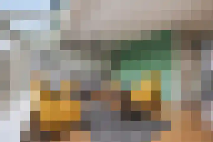 Snavel van Emekamp 39 Zwolle thumbnail 9