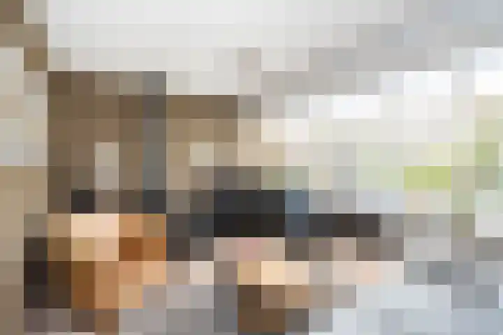 Snavel van Emekamp 41 Zwolle thumbnail 11