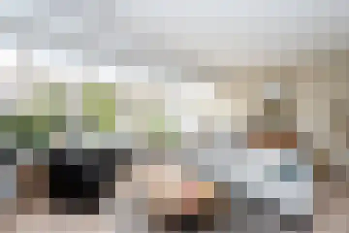 Snavel van Emekamp 41 Zwolle thumbnail 12
