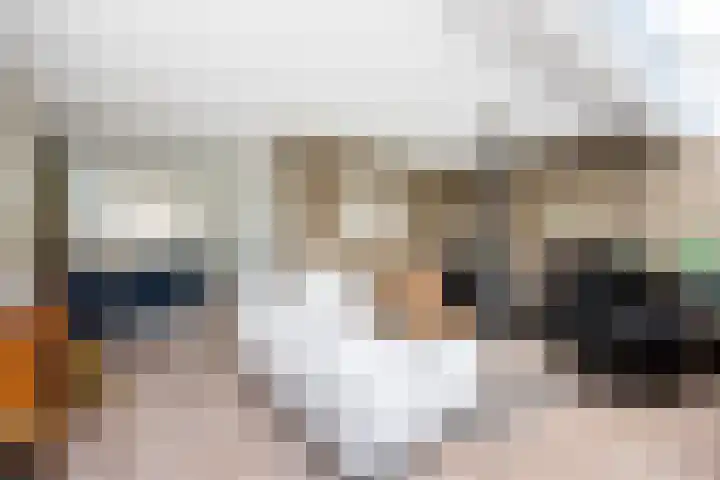 Snavel van Emekamp 41 Zwolle thumbnail 13