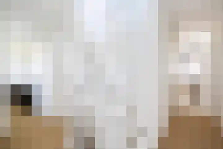 Snavel van Emekamp 41 Zwolle thumbnail 19