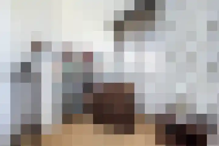 Snavel van Emekamp 41 Zwolle thumbnail 22