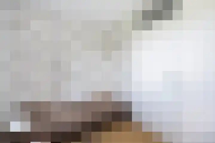 Snavel van Emekamp 41 Zwolle thumbnail 23