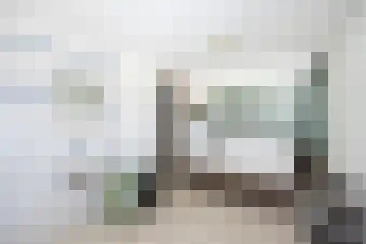 Snavel van Emekamp 41 Zwolle thumbnail 24
