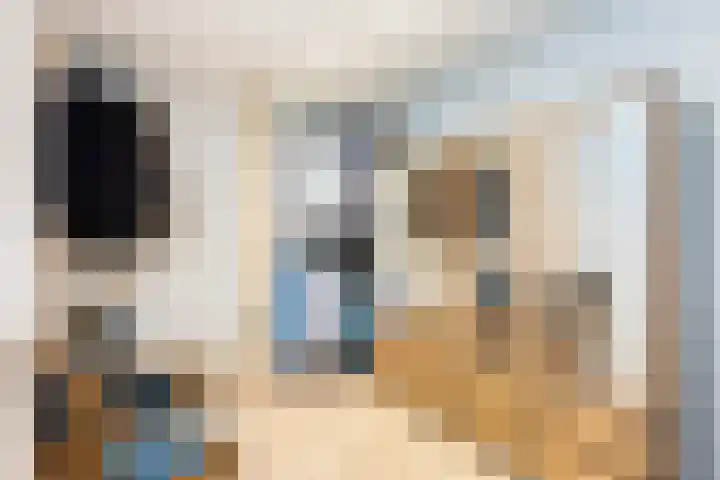 Snavel van Emekamp 41 Zwolle thumbnail 26
