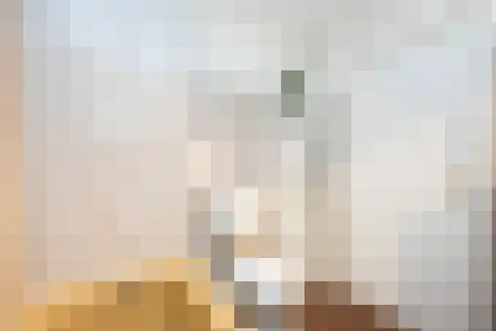 Snavel van Emekamp 41 Zwolle thumbnail 28