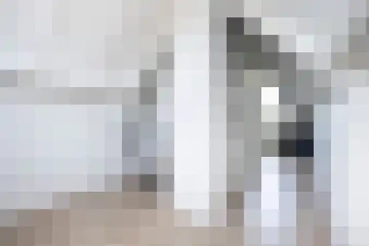 Snavel van Emekamp 41 Zwolle thumbnail 29