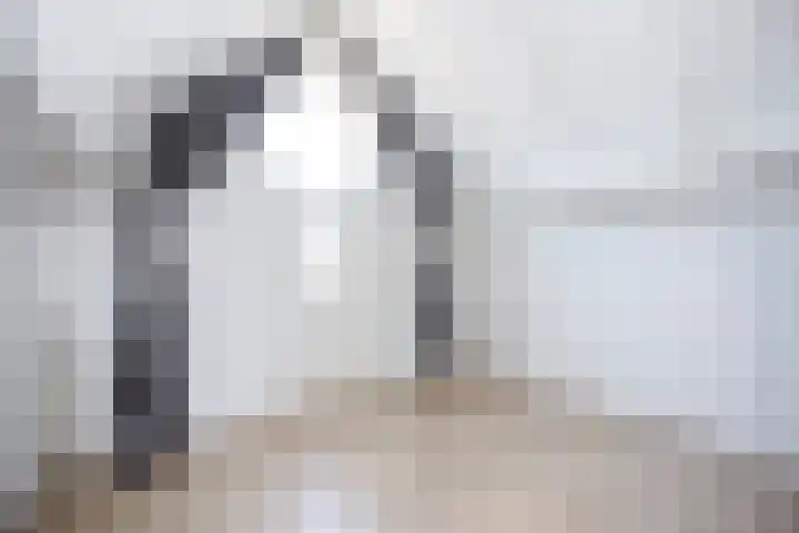 Snavel van Emekamp 41 Zwolle thumbnail 31