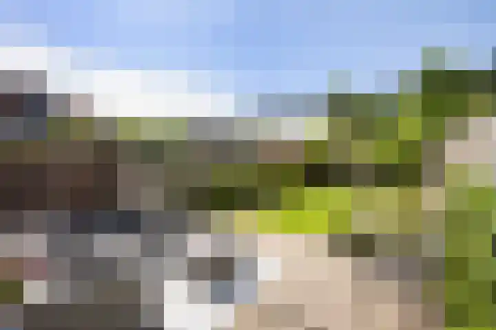 Snavel van Emekamp 41 Zwolle thumbnail 34
