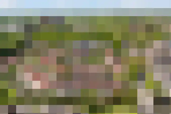 Snavel van Emekamp 41 Zwolle thumbnail 41