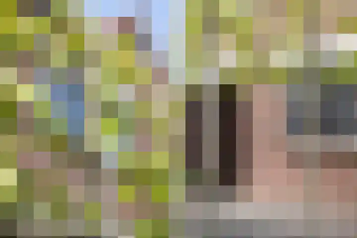 Snavel van Emekamp 41 Zwolle thumbnail 5