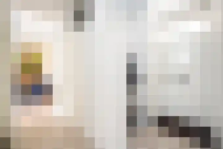 Snavel van Emekamp 41 Zwolle thumbnail 7