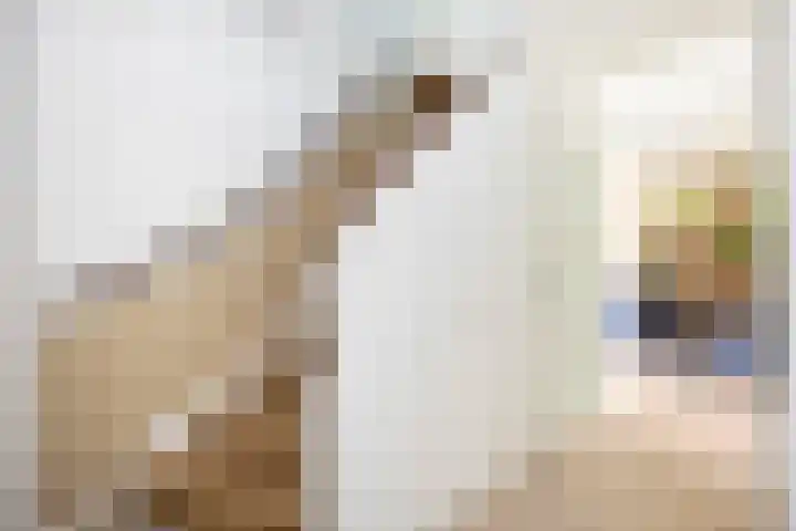 Snavel van Emekamp 41 Zwolle thumbnail 8