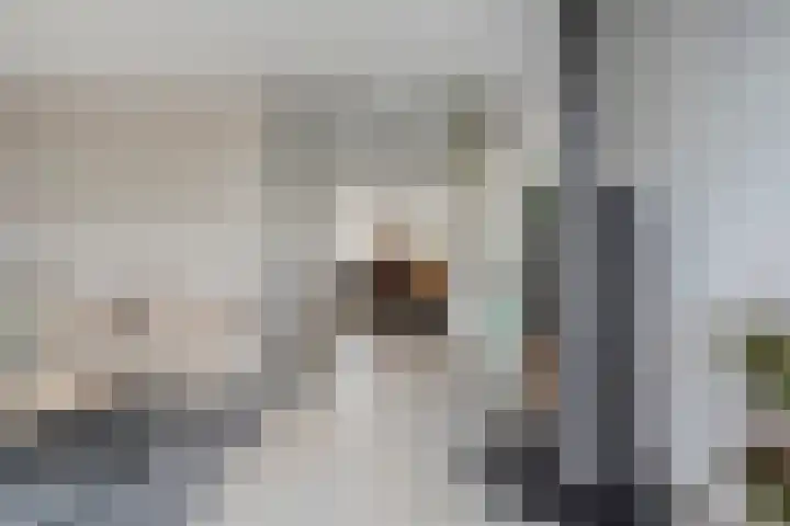 Snavel van Emekamp 42 Zwolle thumbnail 11