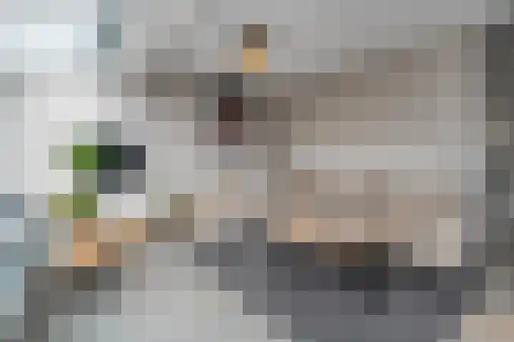 Snavel van Emekamp 42 Zwolle thumbnail 12