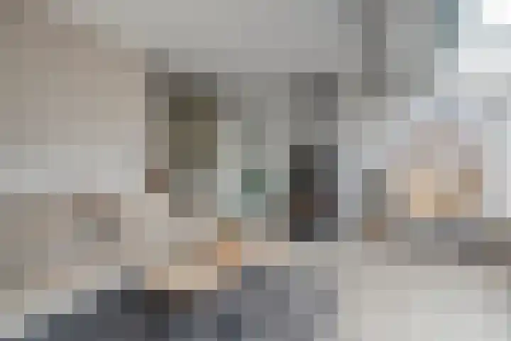 Snavel van Emekamp 42 Zwolle thumbnail 13