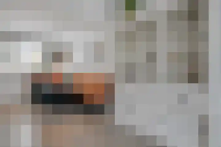 Snavel van Emekamp 42 Zwolle thumbnail 15