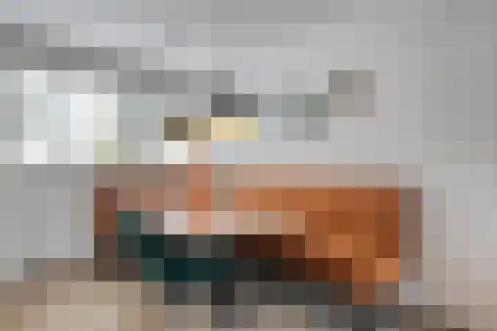 Snavel van Emekamp 42 Zwolle thumbnail 16
