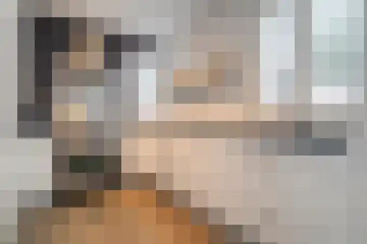 Snavel van Emekamp 42 Zwolle thumbnail 18