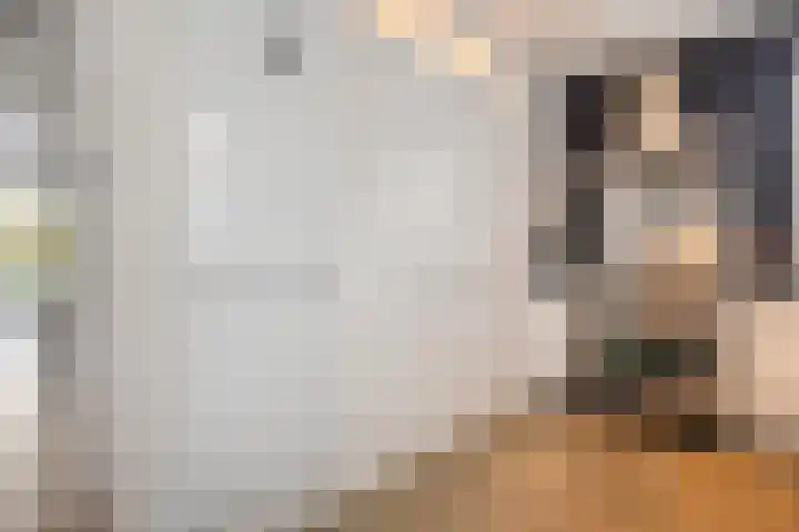 Snavel van Emekamp 42 Zwolle thumbnail 19