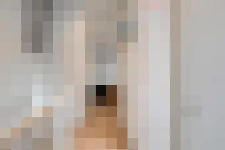 Snavel van Emekamp 42 Zwolle thumbnail 21