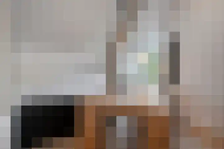 Snavel van Emekamp 42 Zwolle thumbnail 22
