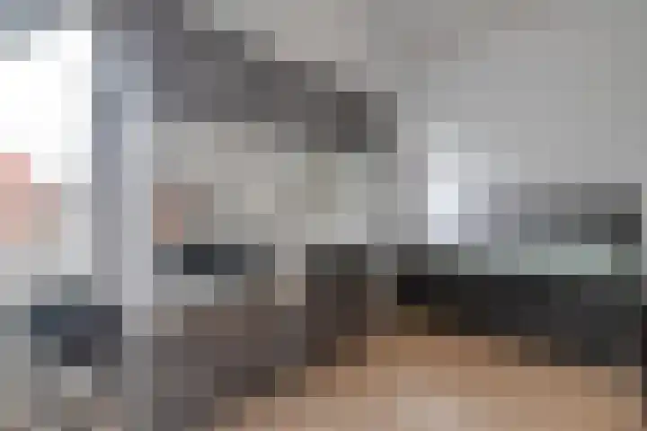Snavel van Emekamp 42 Zwolle thumbnail 24