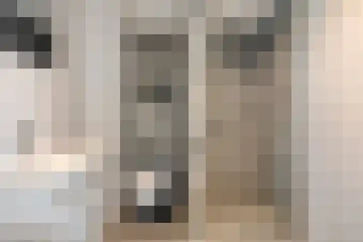 Snavel van Emekamp 42 Zwolle thumbnail 25