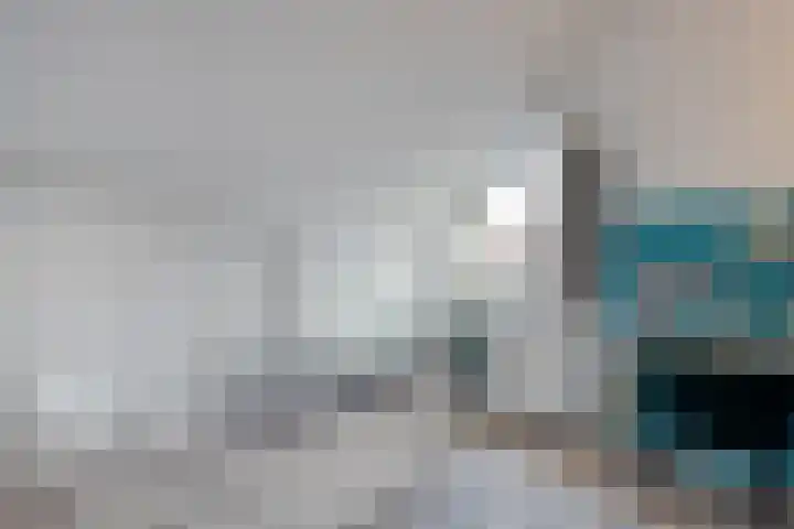 Snavel van Emekamp 42 Zwolle thumbnail 28