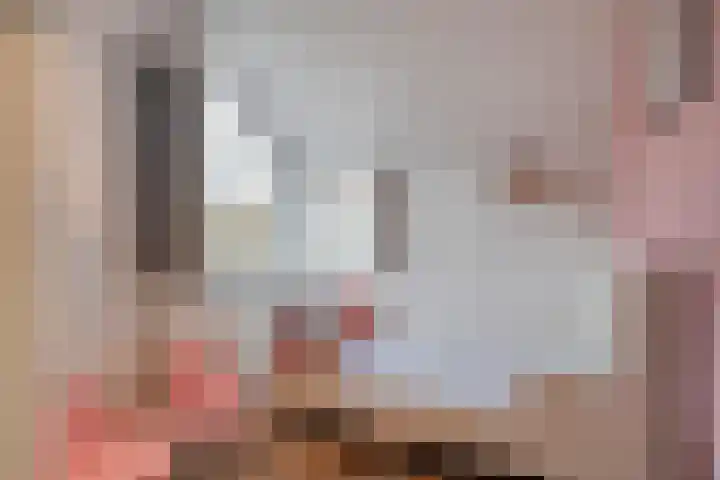 Snavel van Emekamp 42 Zwolle thumbnail 31