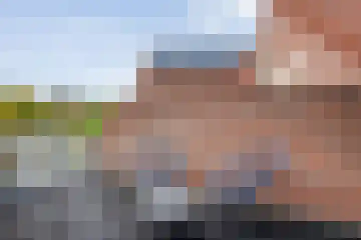 Snavel van Emekamp 42 Zwolle thumbnail 34