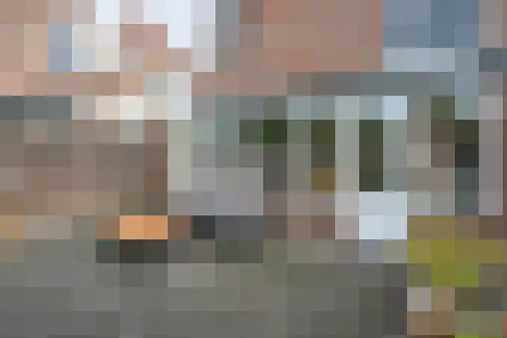 Snavel van Emekamp 42 Zwolle thumbnail 35