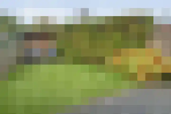 Snavel van Emekamp 42 Zwolle thumbnail 37