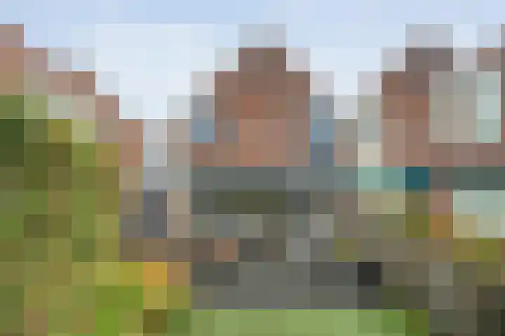 Snavel van Emekamp 42 Zwolle thumbnail 38