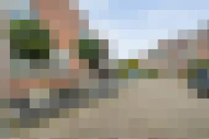 Snavel van Emekamp 42 Zwolle thumbnail 6
