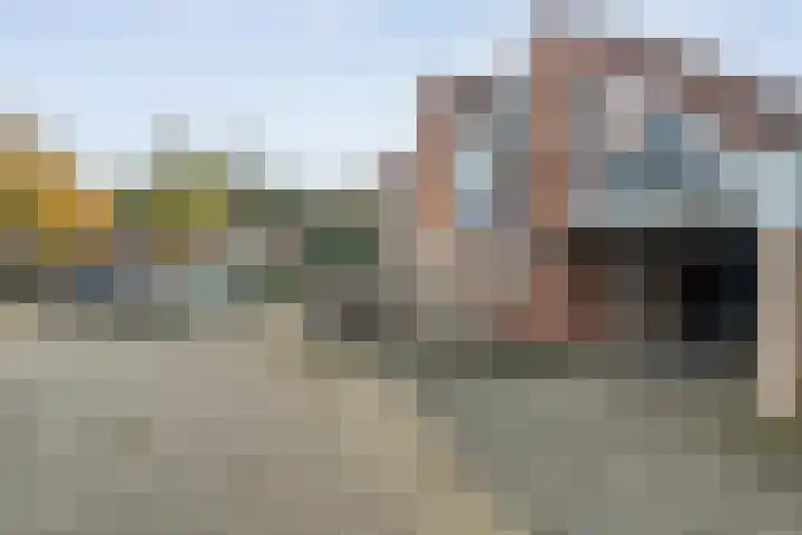 Snavel van Emekamp 42 Zwolle thumbnail 7