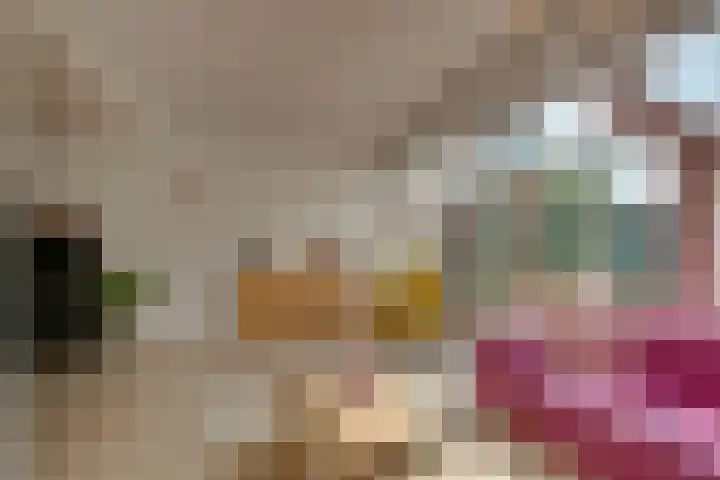 Snavel van Emekamp 5 Zwolle thumbnail 11
