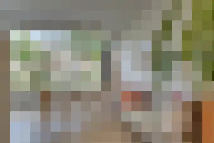 Snavel van Emekamp 5 Zwolle thumbnail 15