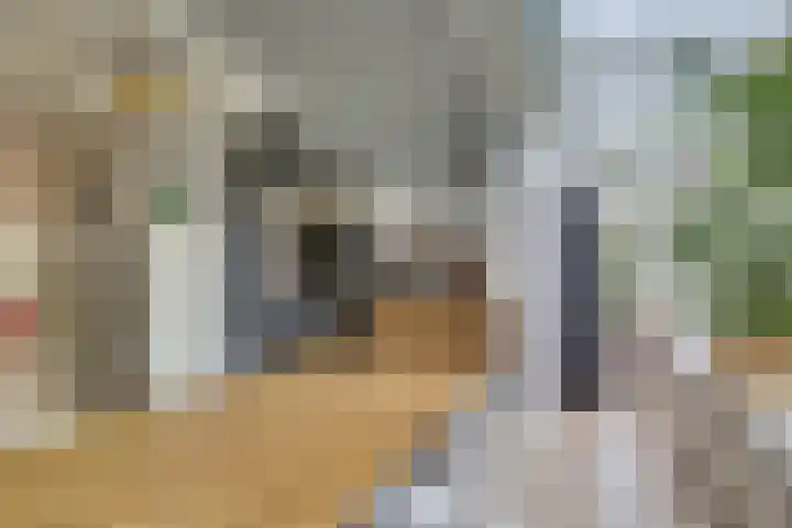 Snavel van Emekamp 5 Zwolle thumbnail 16